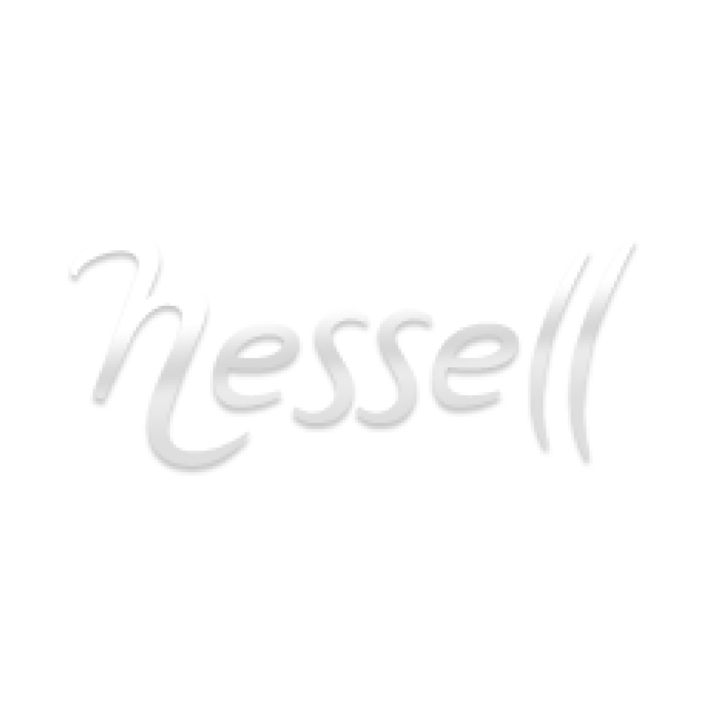 logo nessell